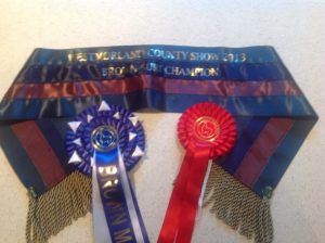 10888937_782073231828664_3739510850366903176_n