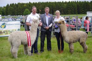 11048654_862410793794907_7432762765541398710_n