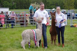 11236469_862410847128235_3827064471214603987_n