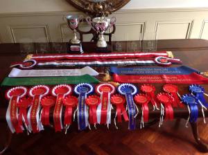 11425502_861346097234710_7096112784340374170_n