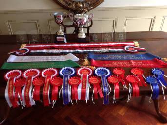 11425502_861346097234710_7096112784340374170_n