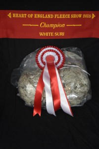 ????????????????????????????????????